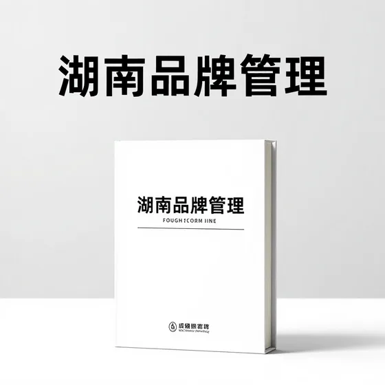湖南品牌管理