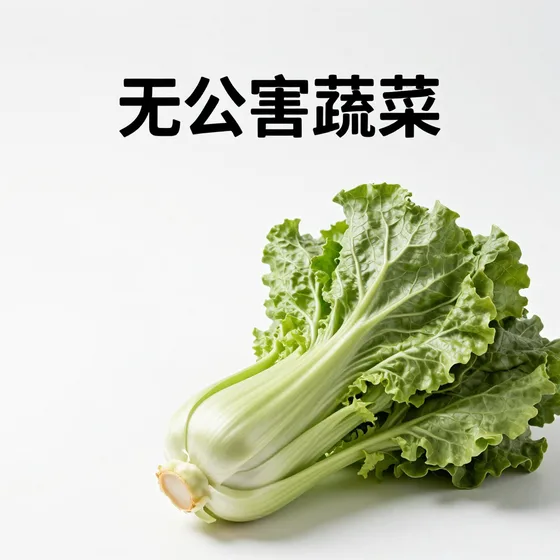 湖南品牌管理